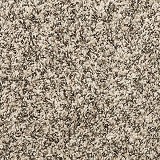 Mohawk Carpet
Purrsonality III
